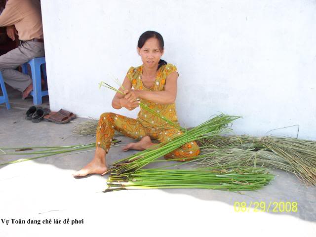 Nguyen Van Toan