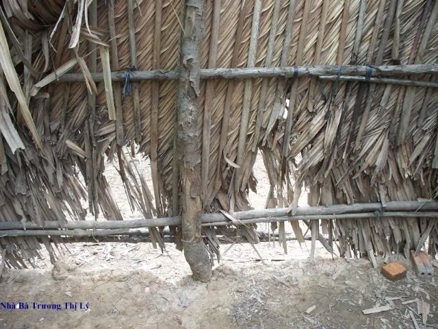 Truong Thi Ly