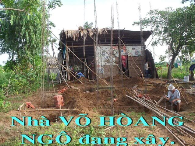 Vo Hoang Ngo