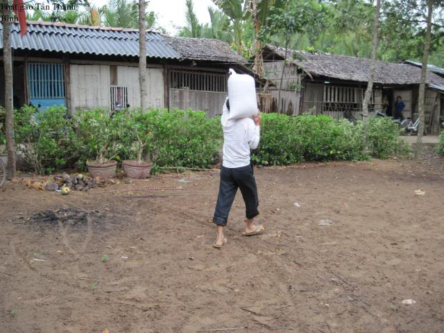 Tân Thành Bình